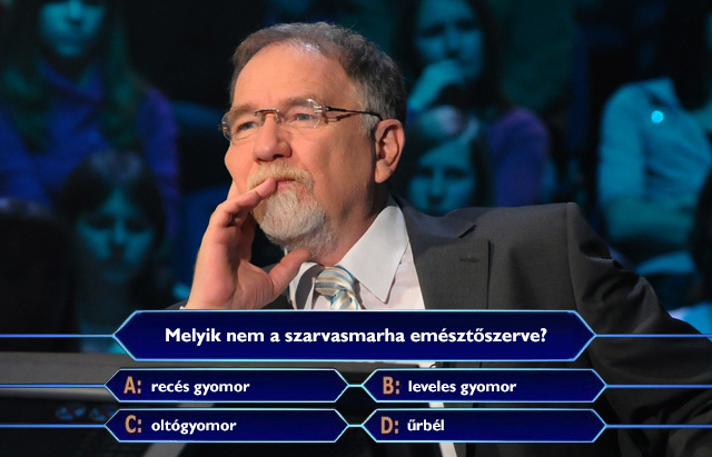 10 dolog, amit csak a műveltségi vetélkedők miatt tanultunk meg