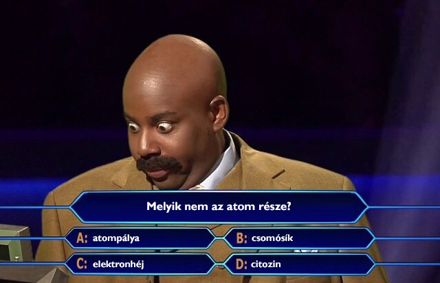 10 dolog, amit csak a műveltségi vetélkedők miatt tanultunk meg