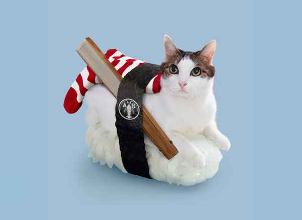 Micsoda? Macskákból készült szusi