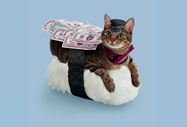 Micsoda? Macskákból készült szusi