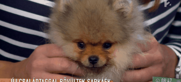 Sarka Kata ebben a sminkben letagadhat 10 évet Sarka Kata ebben a sminkben letagadhat 10 évet