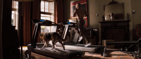 15 gif, amivel bizonyítjuk, hogy Will Smith egy álompasi