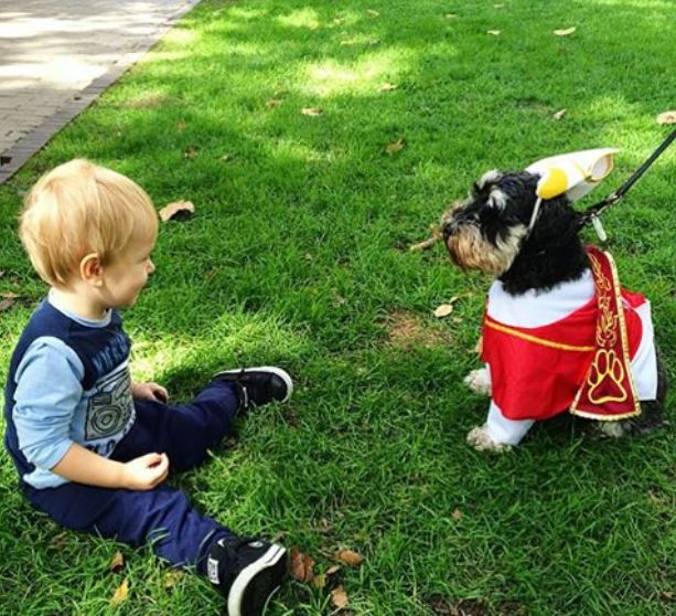 A pápának öltöztetett kutyák robbantják a cukiságbombát