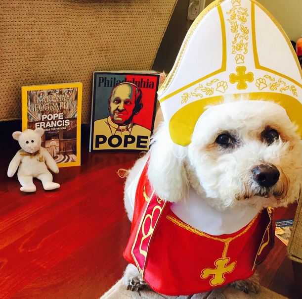 A pápának öltöztetett kutyák robbantják a cukiságbombát