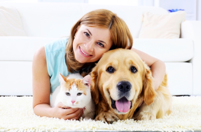 Ezért ivartalaníts a házi kedvenced