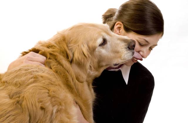 Így fogadhatsz örökbe kisállatot