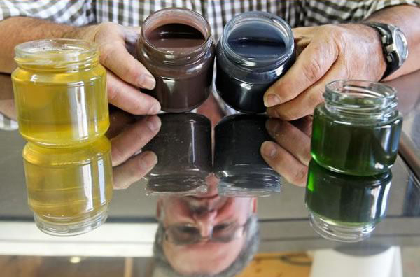 Színes mézet gyártanak a méhecskék