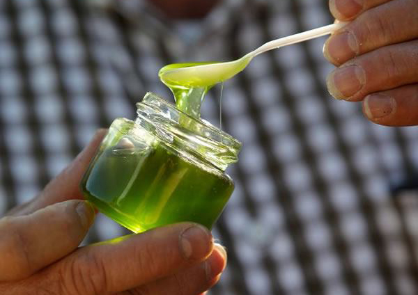 Színes mézet gyártanak a méhecskék