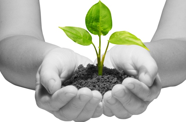 Így nevelheted energiatudatosságra a gyermeked Így nevelheted energiatudatosságra a gyermeked