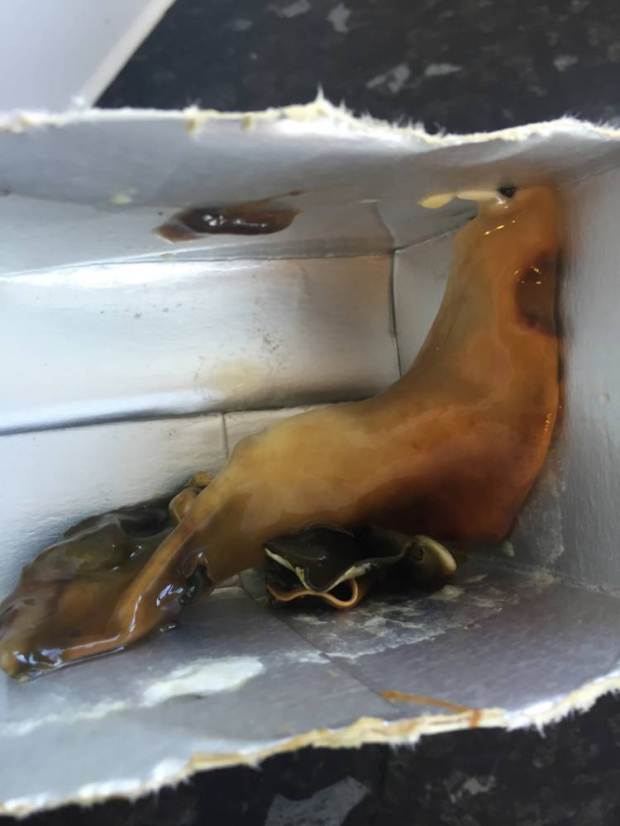 Gusztustalan, Alien-szerű lényt találtak a Tescos almalében Gusztustalan, Alien-szerű lényt találtak a Tescos almalében