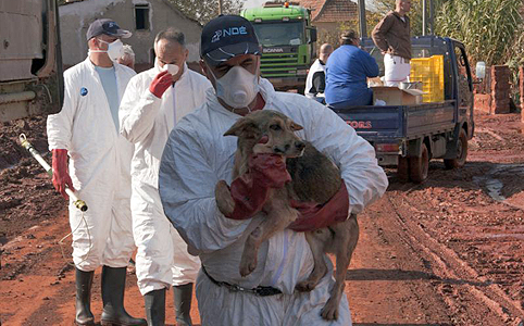 Öt éve történt a vörösiszap-katasztrófa