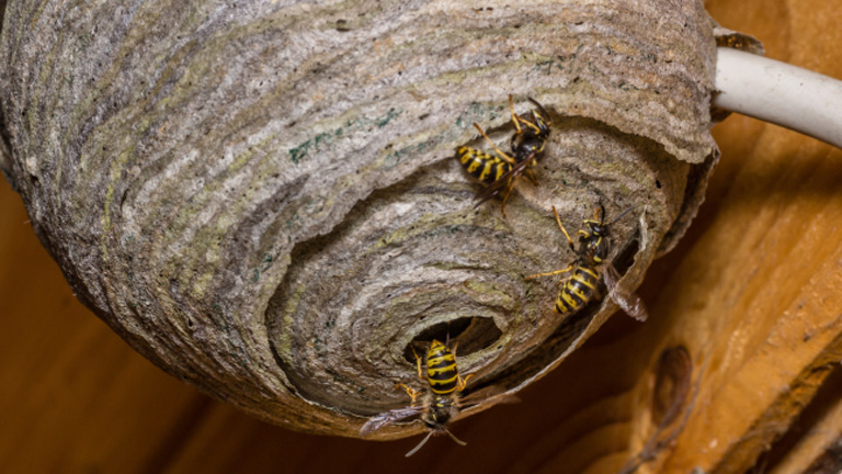 Képünk illusztráció