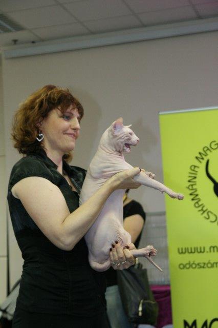 Egy parázs hangulatú pucér 