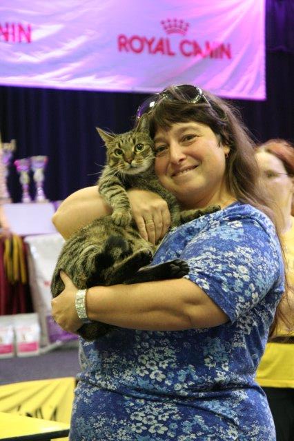 Tigris, a legszebb házi macska