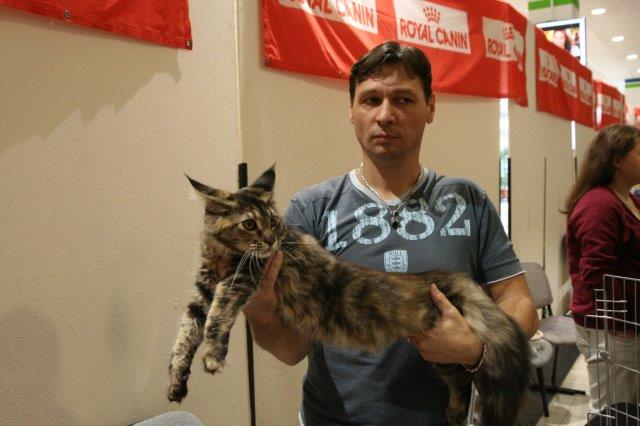 Kicsit már türelmetlenül