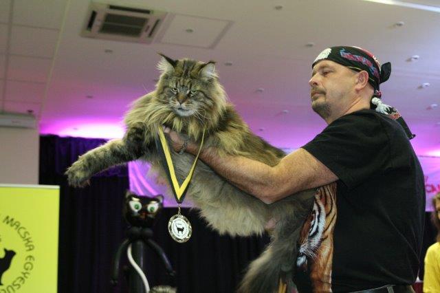 Super size szépség 