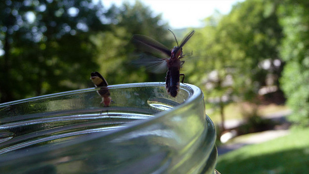 15 dolog, amit gyerekként bármikor megtehettél