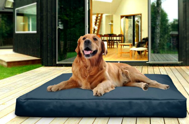 A kedvenceknek is jár egy babzsák Fotó: designstyle.hu