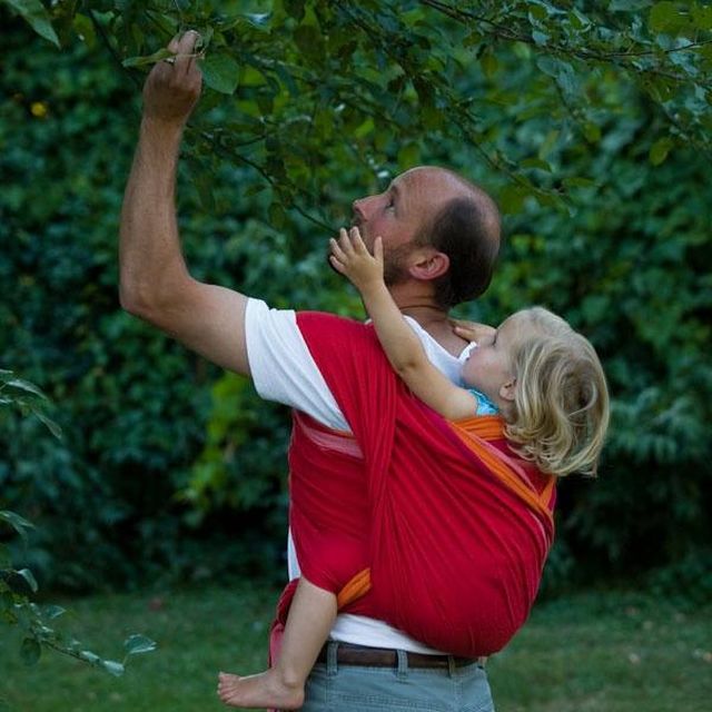 Hordozós apukák a világ körül - fotók