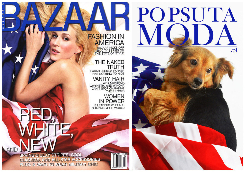 Szuper kezdeményezés: híres címlapokat fotóztak újra megmentett kutyákkal