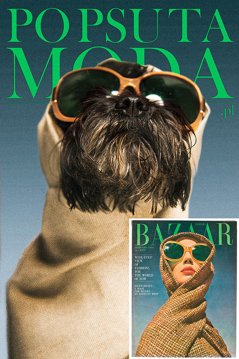 Szuper kezdeményezés: híres címlapokat fotóztak újra megmentett kutyákkal