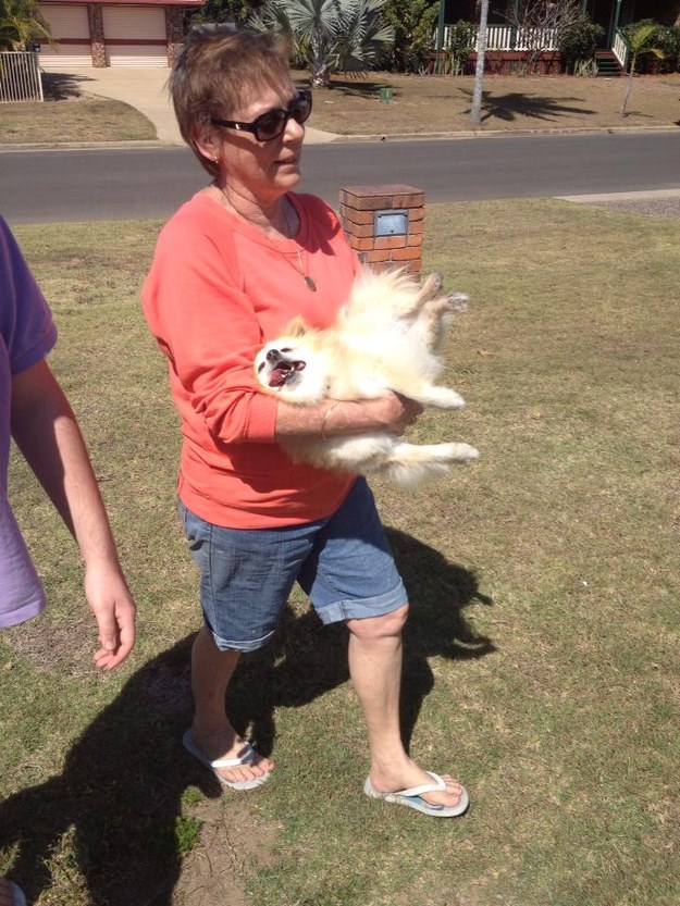 22 dolog, aminek az emberek és a kutyák is ugyanúgy örülnek