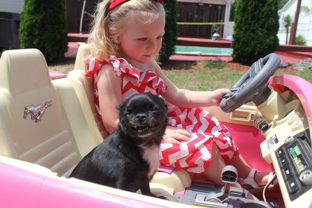 22 dolog, aminek az emberek és a kutyák is ugyanúgy örülnek