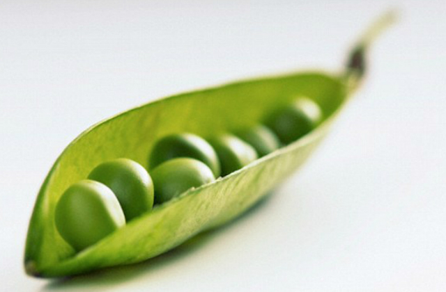 A zöldborsó és kéksajt az új fegyver a rák, az Alzheimer és még a Parkinson ellen is A zöldborsó és kéksajt az új fegyver a rák, az Alzheimer és még a Parkinson ellen is