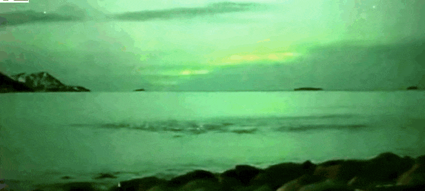 Elképesztő videó: sarki fényben fürdenek a bálnák Norvégiában Elképesztő videó: sarki fényben fürdenek a bálnák Norvégiában