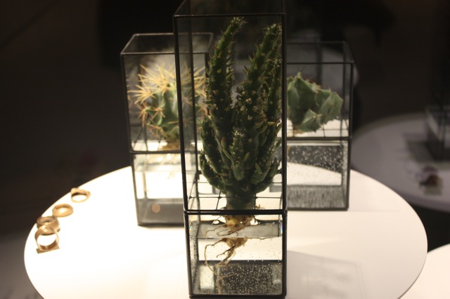 Ha itt a tél, irány Velence! Ha itt a tél, irány Velence!