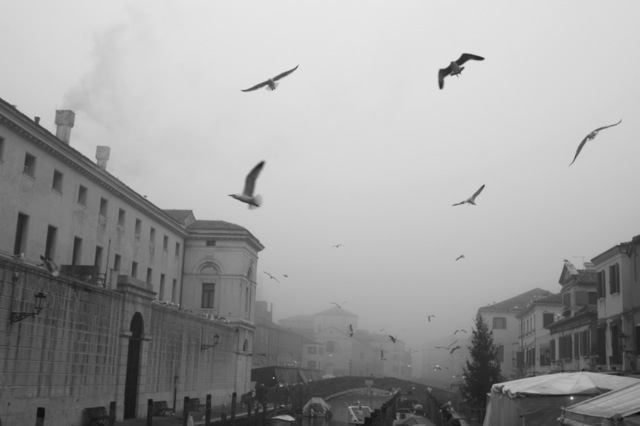 Ha itt a tél, irány Velence! Ha itt a tél, irány Velence!