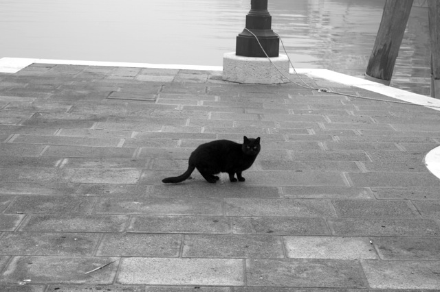 Ha itt a tél, irány Velence! Ha itt a tél, irány Velence!