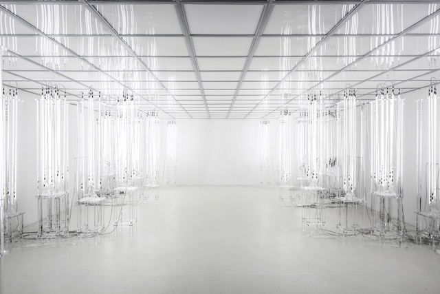 Ha itt a tél, irány Velence! Ha itt a tél, irány Velence!