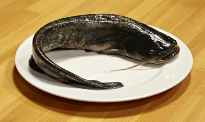 Konyhafőnök: dekoltázzsal filézett Niki Konyhafőnök: dekoltázzsal filézett Niki