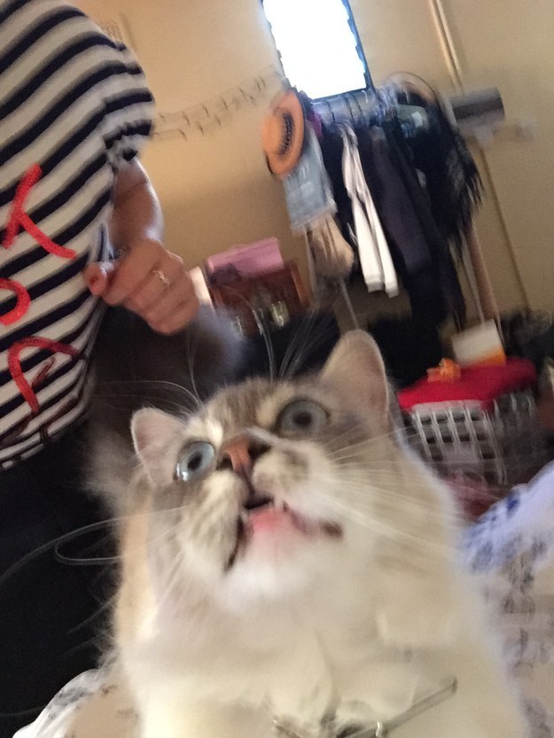 Instagram vs valóság: így verjük át az embereket a képmegosztó oldalakon - képek Instagram vs valóság: így verjük át az embereket a képmegosztó oldalakon - képek