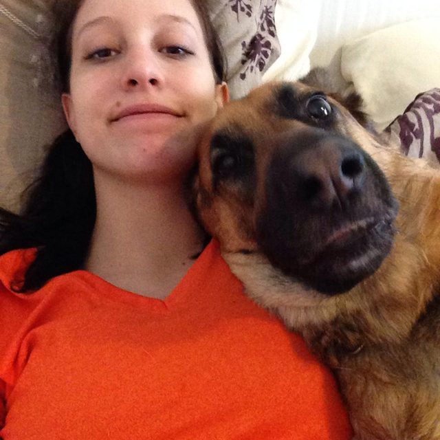 Hiába, nincs viccesebb a kutyaszelfiknél