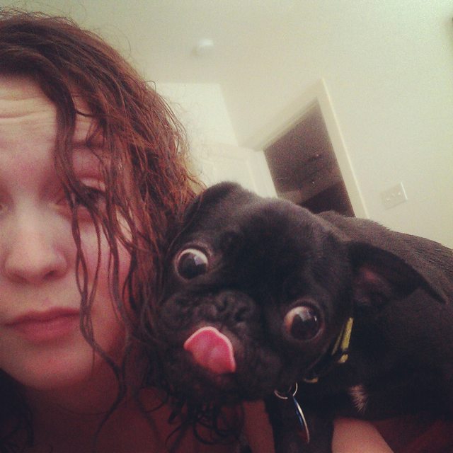 Hiába, nincs viccesebb a kutyaszelfiknél