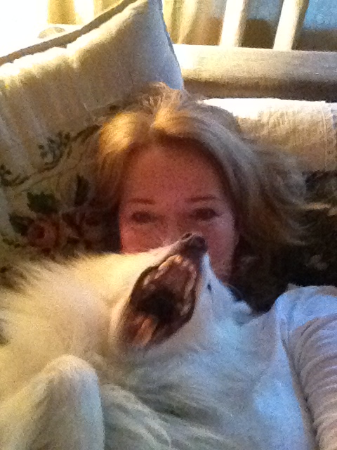 Hiába, nincs viccesebb a kutyaszelfiknél