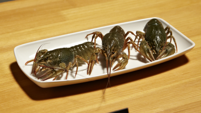 Konyhafőnök: Vali sírva főzött