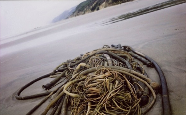 Ötéves kisfiú a NatGeo legfiatalabb fotósa - és most saját könyvén dolgozik Ötéves kisfiú a NatGeo legfiatalabb fotósa - és most saját könyvén dolgozik