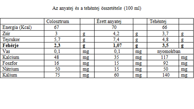 A fehérje szerepe a baba növekedésében és fejlődésében