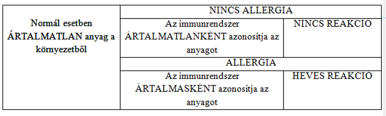 A fehérje szerepe az allergia megelőzésében csecsemőkorban.