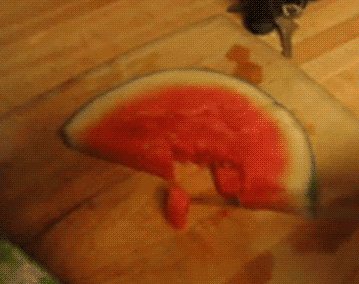 21 mosómedvés gif és kép, hogy felkészülj a várva várt hosszú hétvégére 21 mosómedvés gif és kép, hogy felkészülj a várva várt hosszú hétvégére