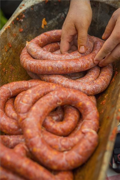 MTI Fotó: Rosta Tibor 