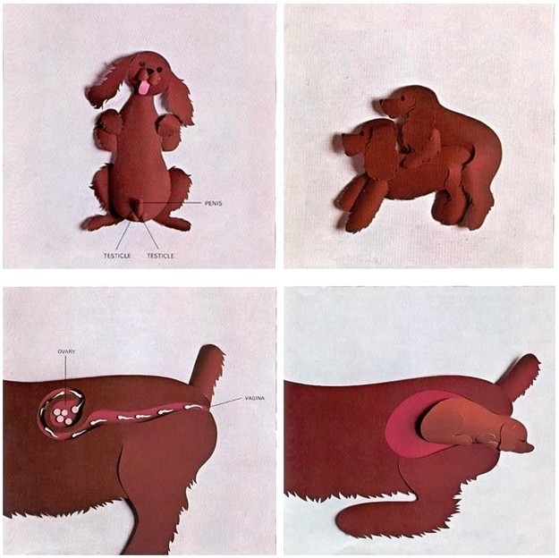 Vicces! Ilyen volt a szexuális felvilágosítás anyáink idejében