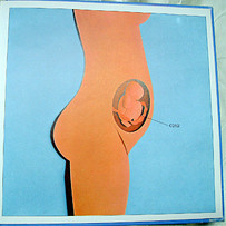 Vicces! Ilyen volt a szexuális felvilágosítás anyáink idejében