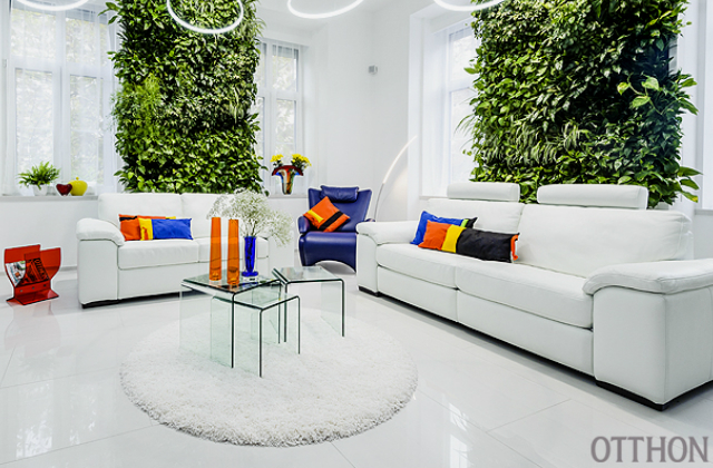 Fotó: Imre Barnabás