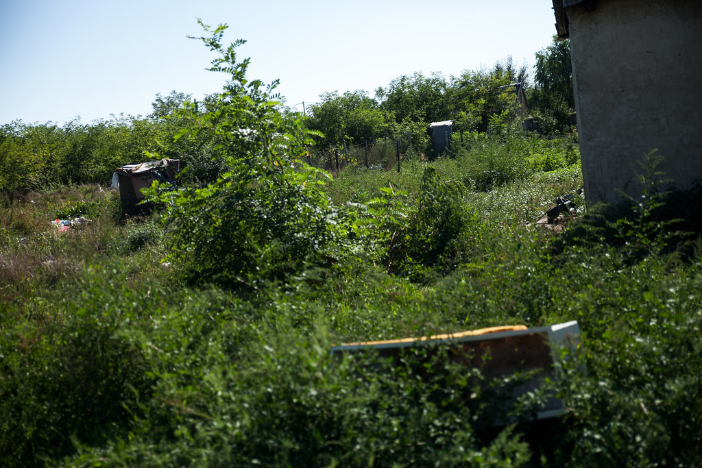 Egy jó szél fúj, és elviszi a budit is Egy jó szél fúj, és elviszi a budit is