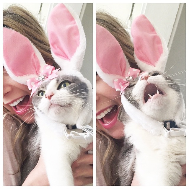 20 állat, akit lever a víz, ha meg akarják simogatni őket - vicces képek 20 állat, akit lever a víz, ha meg akarják simogatni őket - vicces képek