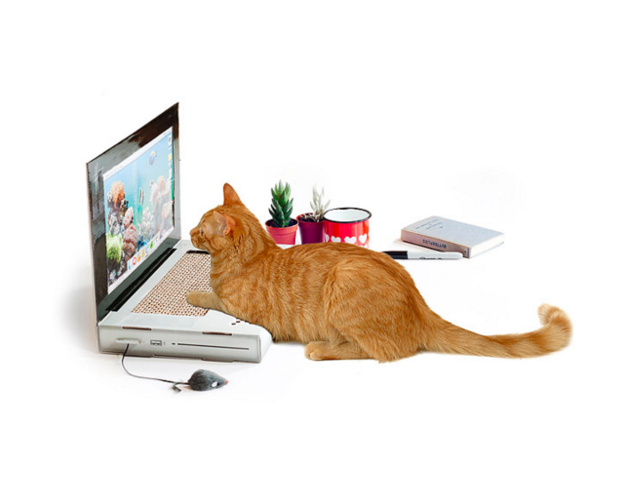 Bizarr, de hasznos tárgyak, amikről nem is tudtad, hogy szükséged van rájuk